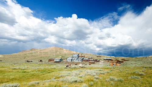 The Standard Mine and Mill which yielded so much money, it caused the 1878 rush to Bodie.