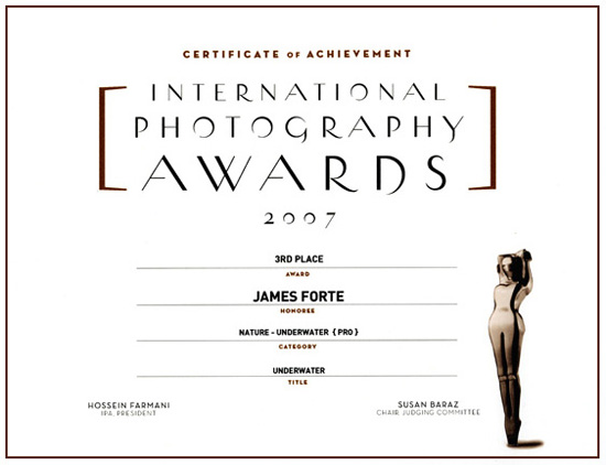 International Photography Awards- Winner!