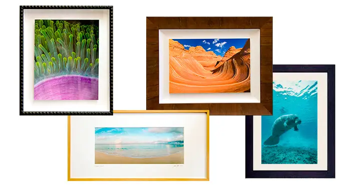 ALL IMAGES COPYRIGHTED AND PROPERTY OF TURNER FORTE PHOTOGRAPHY. DO NOT USE WITHOUT PERMISSION FROM THE COPYRIGHT OWNERS.