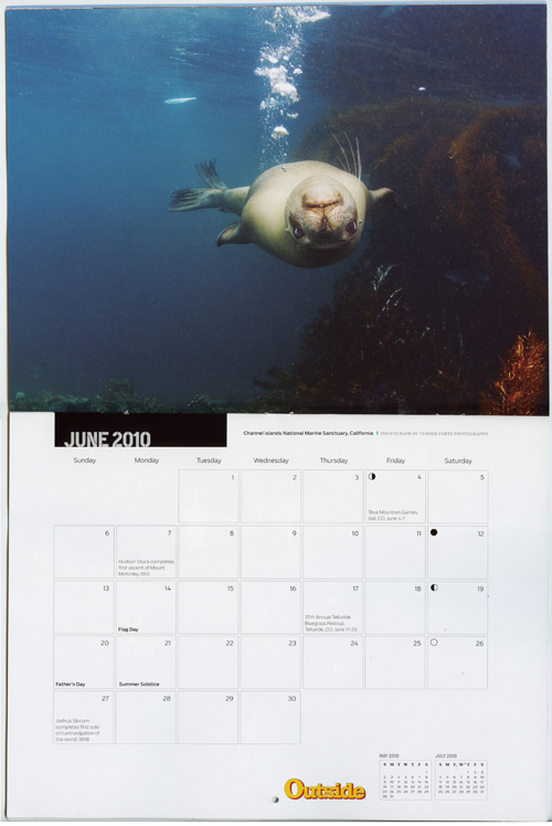 Outside Magazine Annual Calendar, Image of Female Mother Sea Lion