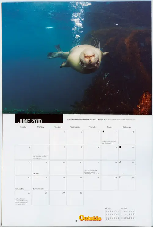 Outside Magazine Annual Calendar, Image of Female Mother Sea Lion