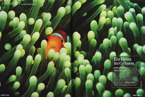 Moments Spread in Underwater German Diving Magazine