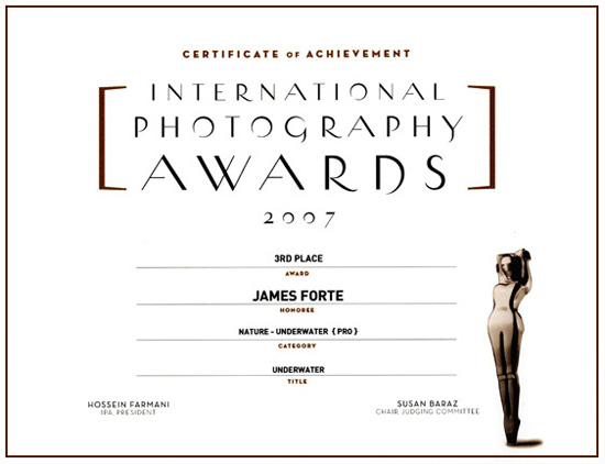 International Photography Awards Winner, Nature, Underwater Pro