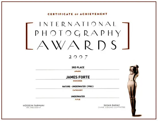International Photography Awards Winner, Nature, Underwater Pro