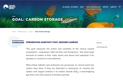 Ocean Health Index website Cover image of Channel Islands Underwater