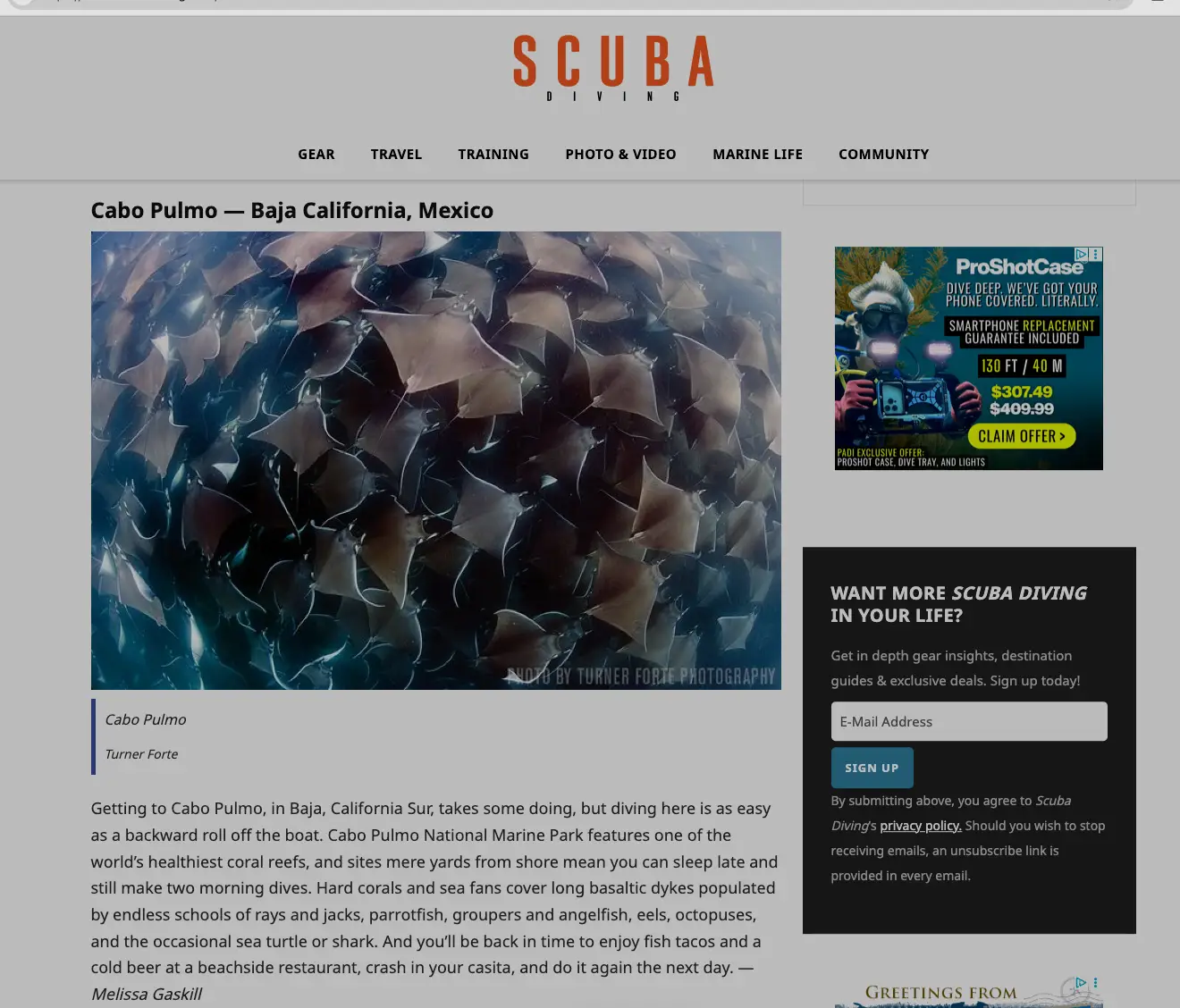 Scuba Diving Magazine article on Cabo Pulmo Diving. Photo of schooling Mobula Rays