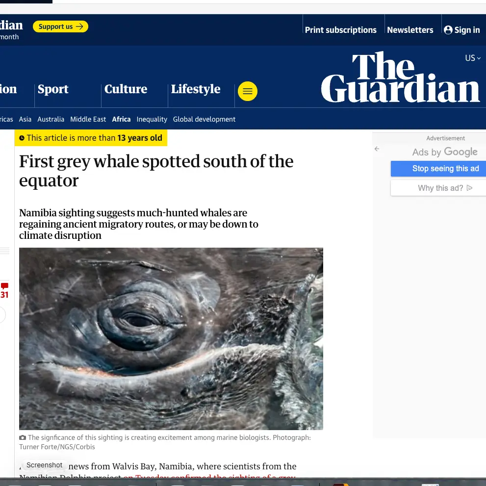 The Guardian Online News Website. Grey Whale Eye photo used in article