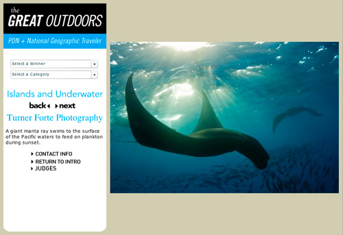 National Geographic Traveler – Photo of a Giant Pacific Manta Ray, Baja California